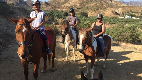 Mountain Horse Riding Kos One Hour