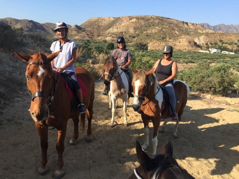 horse-riding-kos-greece-ιππασια-kardamena-αλογα.jpg9