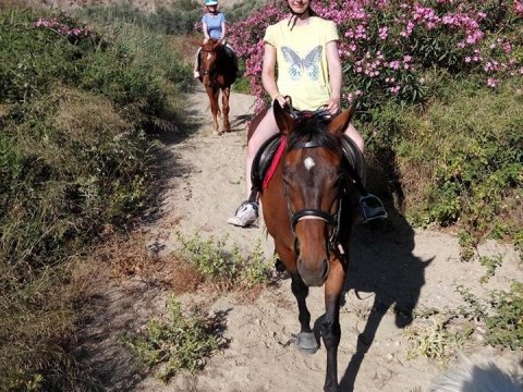 horse-riding-kos-greece-ιππασια-kardamena-αλογα.jpg5