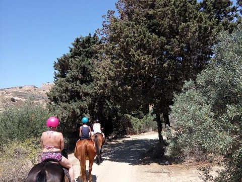 horse-riding-kos-greece-ιππασια-kardamena-αλογα.jpg4