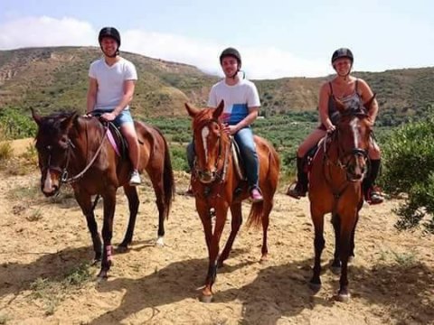 horse-riding-kos-greece-ιππασια-kardamena-αλογα.jpg3