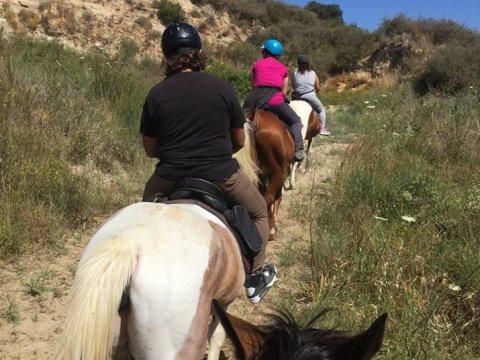 horse-riding-kos-greece-ιππασια-kardamena-αλογα.jpg2