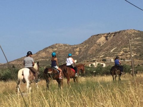 horse-riding-kos-greece-ιππασια-kardamena-αλογα