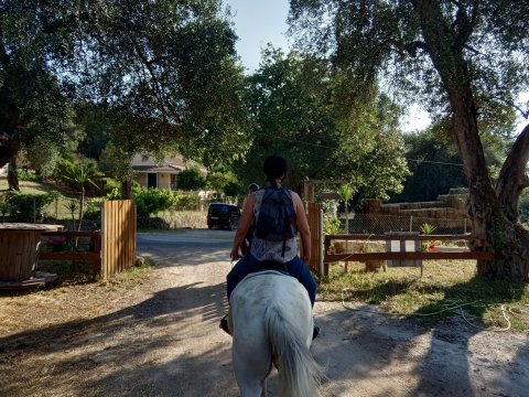 horse-riding-corfu-center-greece-ιππασια-αλογα.jpg12