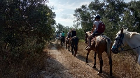 Horse Riding one hour Corfu