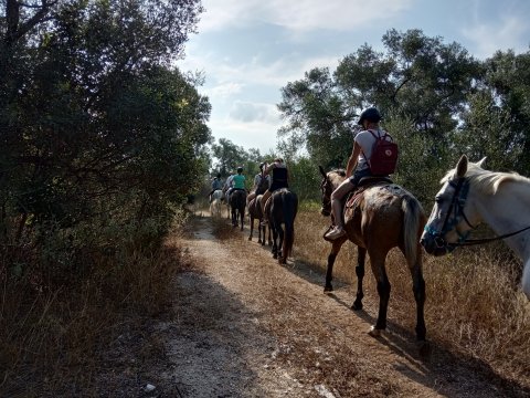 horse-riding-corfu-center-greece-ιππασια-αλογα.jpg11