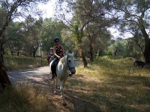 horse-riding-corfu-center-greece-ιππασια-αλογα.jpg10