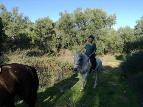 horse-riding-corfu-center-greece-ιππασια-αλογα.jpg9
