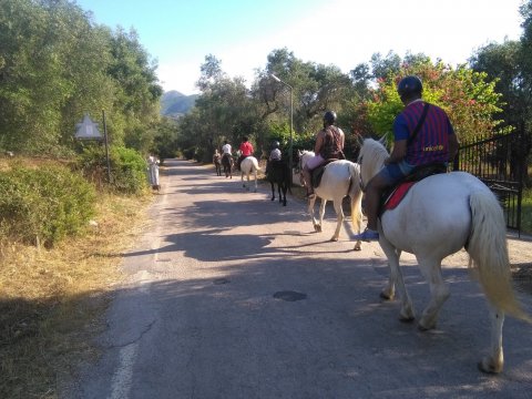 horse-riding-corfu-center-greece-ιππασια-αλογα.jpg7