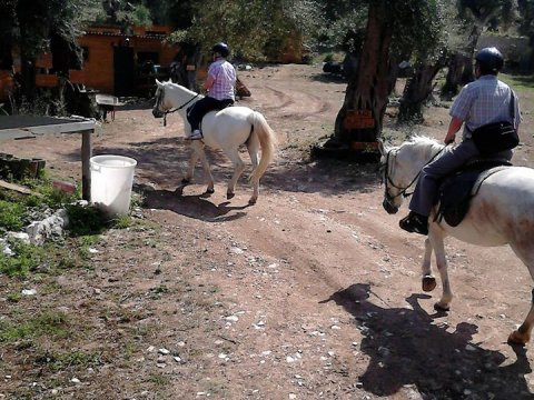 horse-riding-corfu-center-greece-ιππασια-αλογα.jpg6