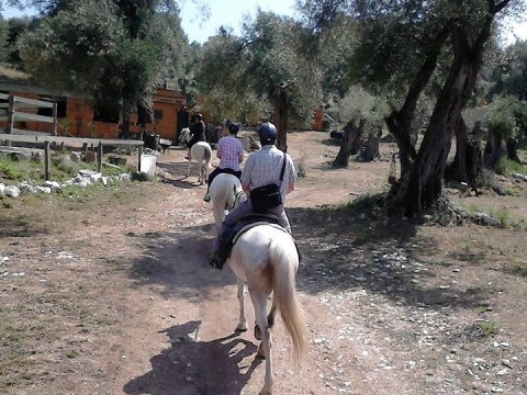 horse-riding-corfu-center-greece-ιππασια-αλογα.jpg5