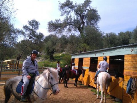 horse-riding-corfu-center-greece-ιππασια-αλογα