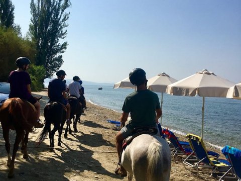 horse-riding-center-pelion-greece-ιππασια-αλογα-πηλιο11