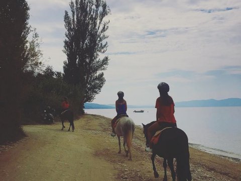 horse-riding-center-pelion-greece-ιππασια-αλογα-πηλιο.jpg10