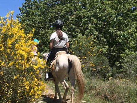 horse-riding-center-pelion-greece-ιππασια-αλογα-πηλιο.jpg9