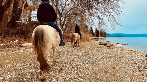 Βόλτα με Άλογα στην Θάλασσα Πήλιο