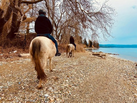 horse-riding-center-pelion-greece-ιππασια-αλογα-πηλιο.jpg7