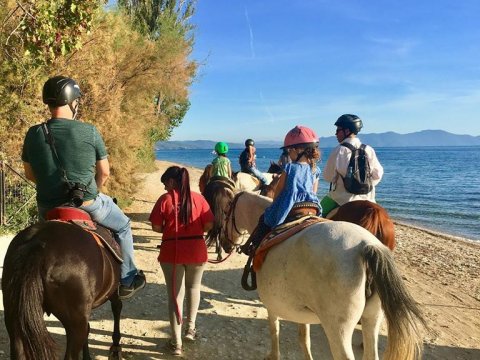 horse-riding-center-pelion-greece-ιππασια-αλογα-πηλιο.jpg4