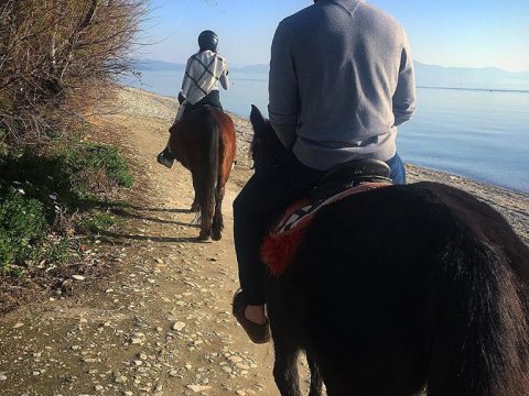 horse-riding-center-pelion-greece-ιππασια-αλογα-πηλιο.jpg3