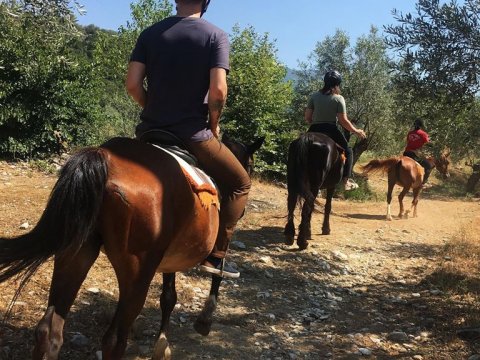 horse-riding-center-pelion-greece-ιππασια-αλογα-πηλιο.jpg2