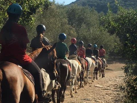 horse-riding-center-pelion-greece-ιππασια-αλογα-πηλιο