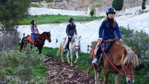 hydra-horse-riding-greece-center