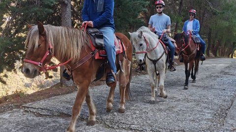hydra-horse-riding-greece-center.jpg3