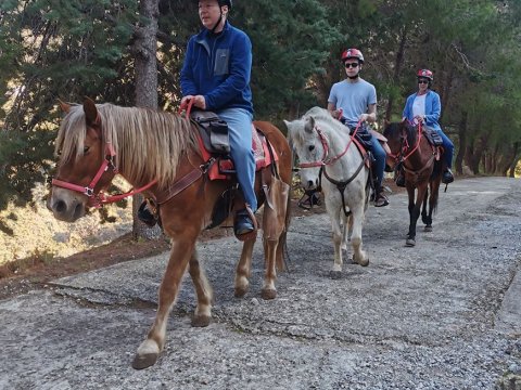 hydra-horse-riding-greece-center.jpg3