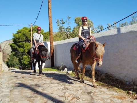 hydra-horse-riding-greece-center (1)