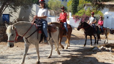 Horse Riding 30 mins Hydra