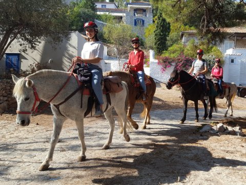 hydra-horse-riding-greece-center (2)