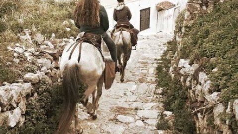 horse-riding-hydra-greece-center-ιππασια-αλογα-υδρα.jpg12