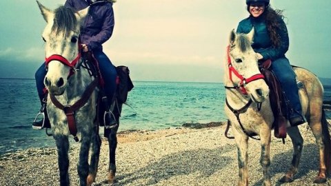 horse-riding-hydra-greece-center-ιππασια-αλογα-υδρα.jpg11