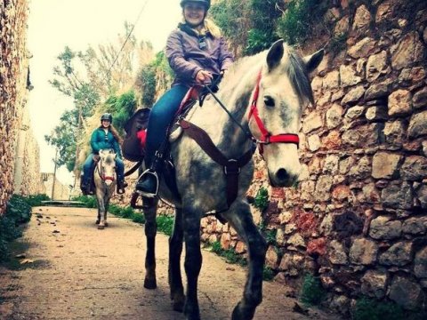 horse-riding-hydra-greece-center-ιππασια-αλογα-υδρα.jpg10