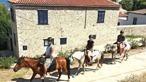 horse-riding-hydra-greece-center-ιππασια-αλογα-υδρα.jpg8