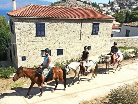 horse-riding-hydra-greece-center-ιππασια-αλογα-υδρα.jpg8