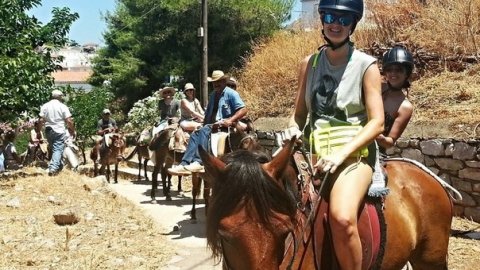 horse-riding-hydra-greece-center-ιππασια-αλογα-υδρα.jpg5