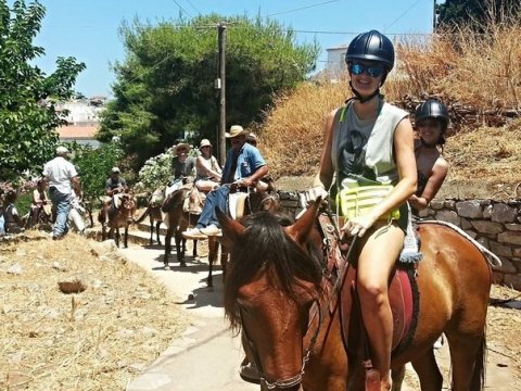 horse-riding-hydra-greece-center-ιππασια-αλογα-υδρα.jpg5