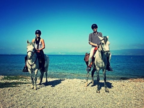 horse-riding-hydra-greece-center-ιππασια-αλογα-υδρα