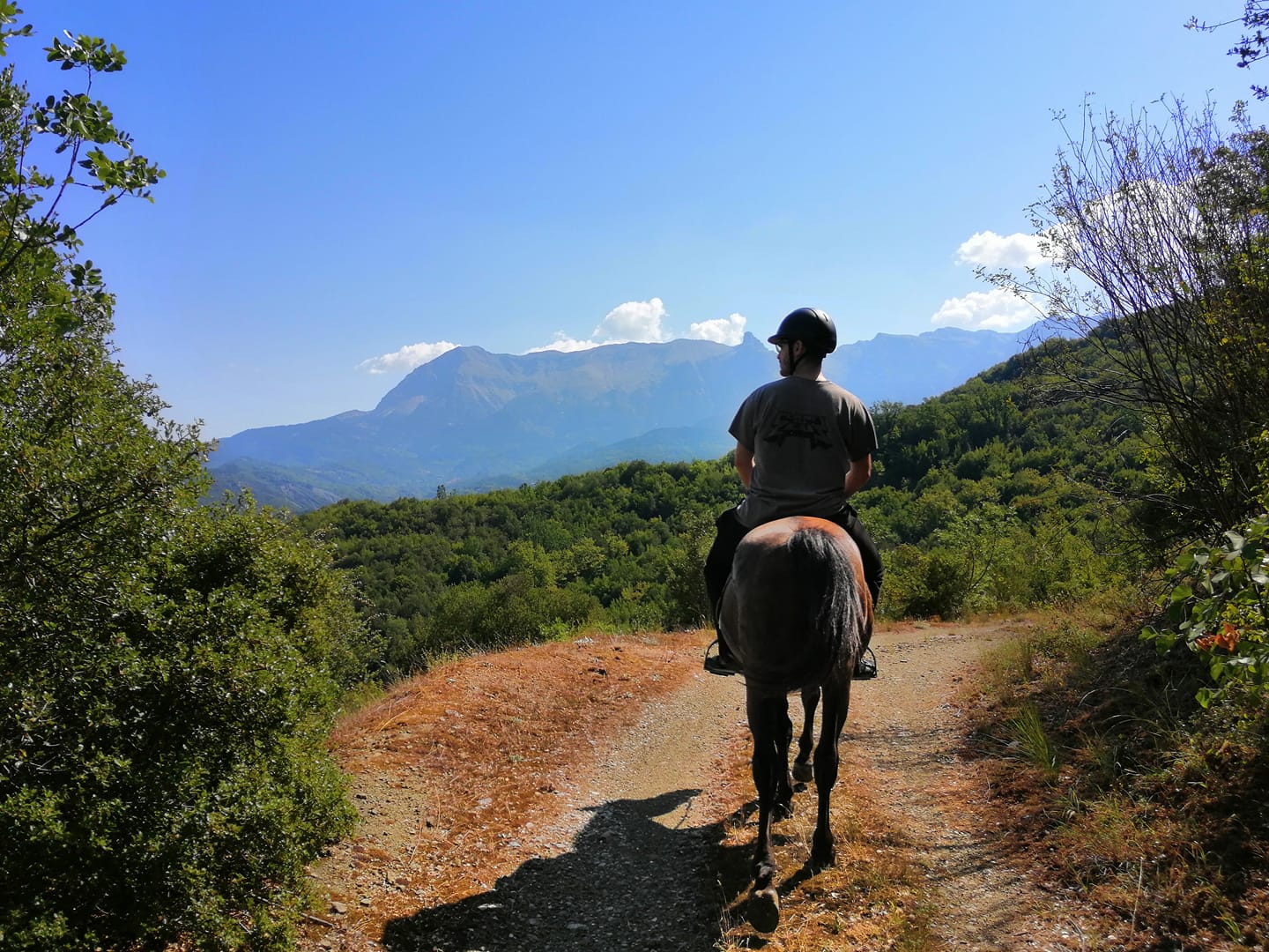 Βόλτα με άλογα Τζουμέρκα, Άραχθος