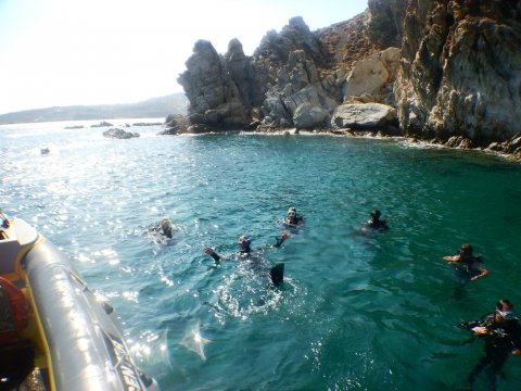 mykonos-scuba-diving-center-greece-καταδυσεις.jpg13