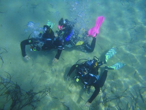 mykonos-scuba-diving-center-greece-καταδυσεις.jpg7