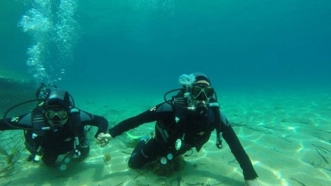Discover Scuba Diving in Mykonos
