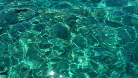 snorkeling-mykonos-greece.jpg5