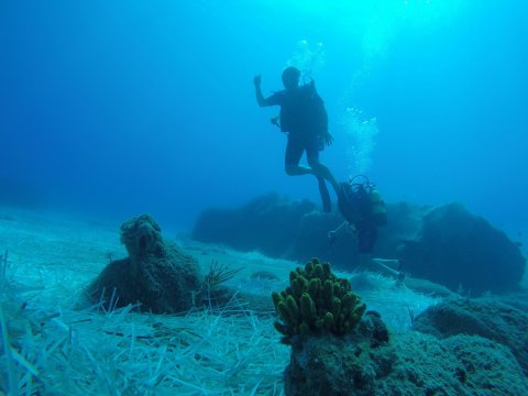 scuba-diving-center-myrtos-greece-ieraptera-crete-καταδυσεις.jpg9