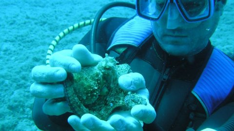 scuba-diving-center-rhodes-greece-καταδυσεις-ροδος.jpg12