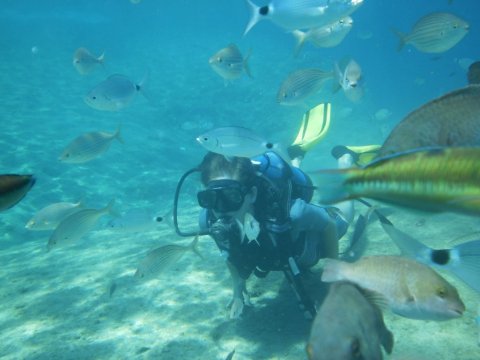 scuba-diving-center-rhodes-greece-καταδυσεις-ροδος-trident.jpg8