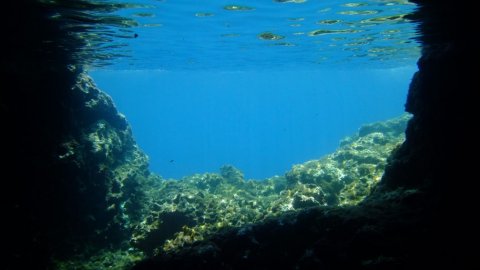 scuba-diving-center-rhodes-greece-καταδυσεις-ροδος.jpg7