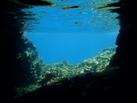 scuba-diving-center-rhodes-greece-καταδυσεις-ροδος.jpg7