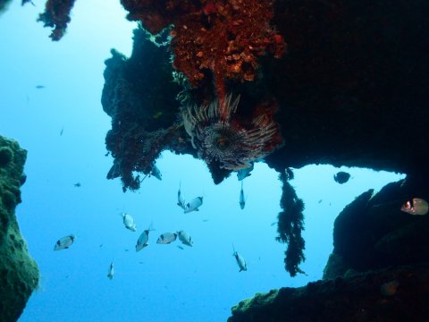 open-water-course-athens-scuba-diving-center-καταδυσεις-greece.jpg8